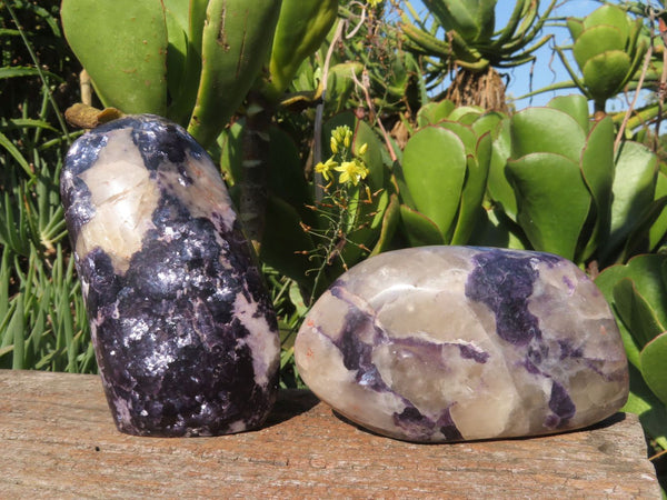 Polished Silver Leaf Lepidolite Standing Free Forms x 2 From Zimbabwe - TopRock