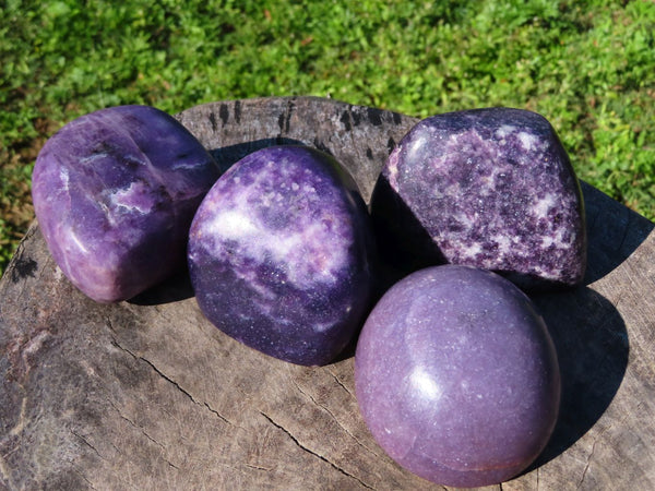 Polished Lepidolite Free Forms & Standing Free Forms x 4 From Zimbabwe - TopRock