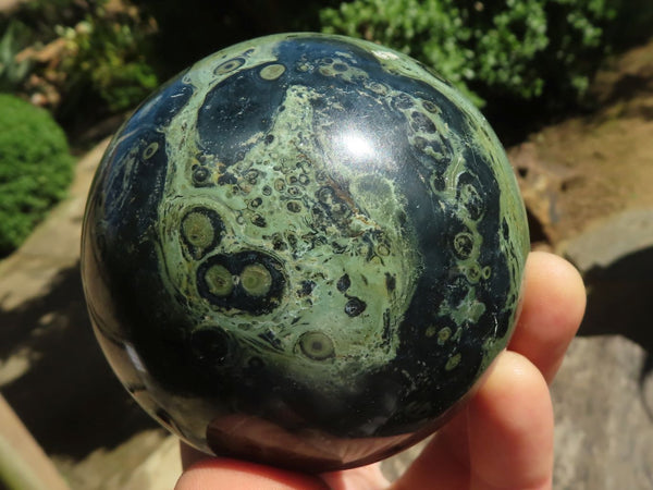 Polished Stromatolite / Kambamba Jasper Spheres  x 4 From Madagascar - TopRock