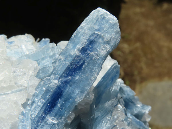 Natural Blue Kyanite Matrix Specimens  x 6 From Zimbabwe - TopRock