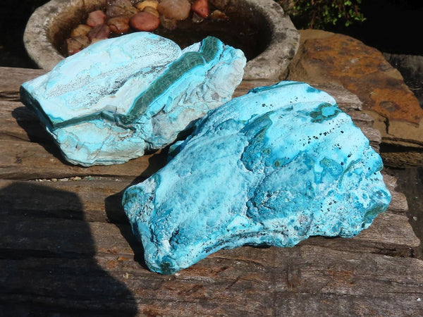 Natural Blue Chrysocolla On Silky Malachite Specimens  x 2 From Congo