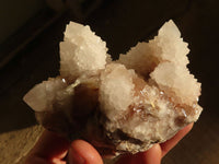 Natural White Spirit Cactus Quartz Clusters  x 4 From Boekenhouthoek, South Africa - Toprock Gemstones and Minerals