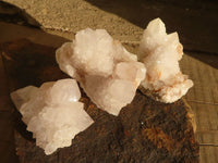 Natural White Spirit Cactus Quartz Clusters  x 4 From Boekenhouthoek, South Africa - Toprock Gemstones and Minerals