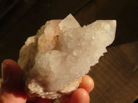 Natural White Spirit Cactus Quartz Clusters  x 4 From Boekenhouthoek, South Africa - Toprock Gemstones and Minerals