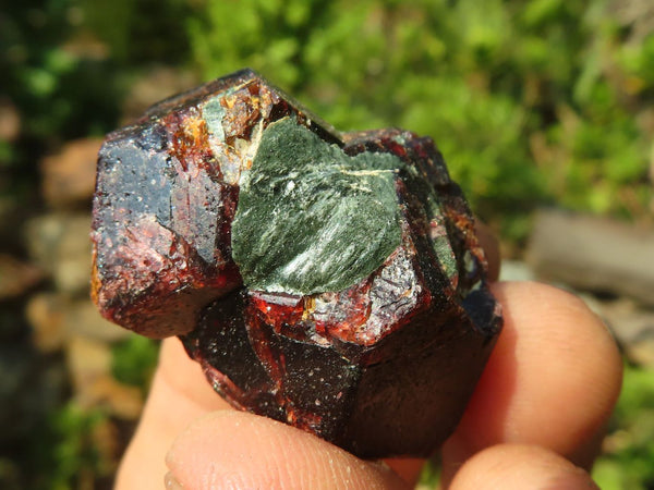 Natural Red Pyrope Garnet Crystals  x 54 From Zimbabwe