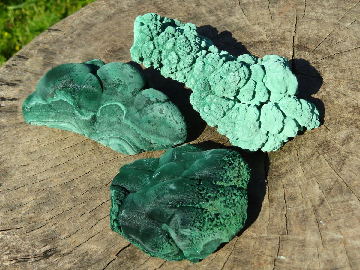 Natural Botryoidal Malachite Specimens x 3 From Congo - TopRock