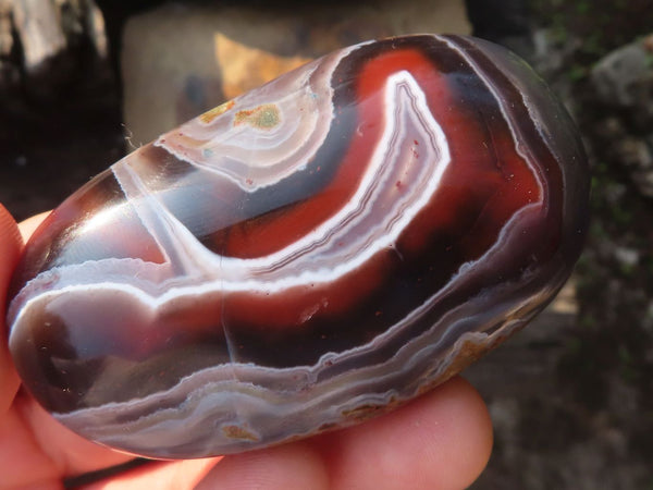 Polished Banded River Agate Palm Stones  x 6 From Zimbabwe