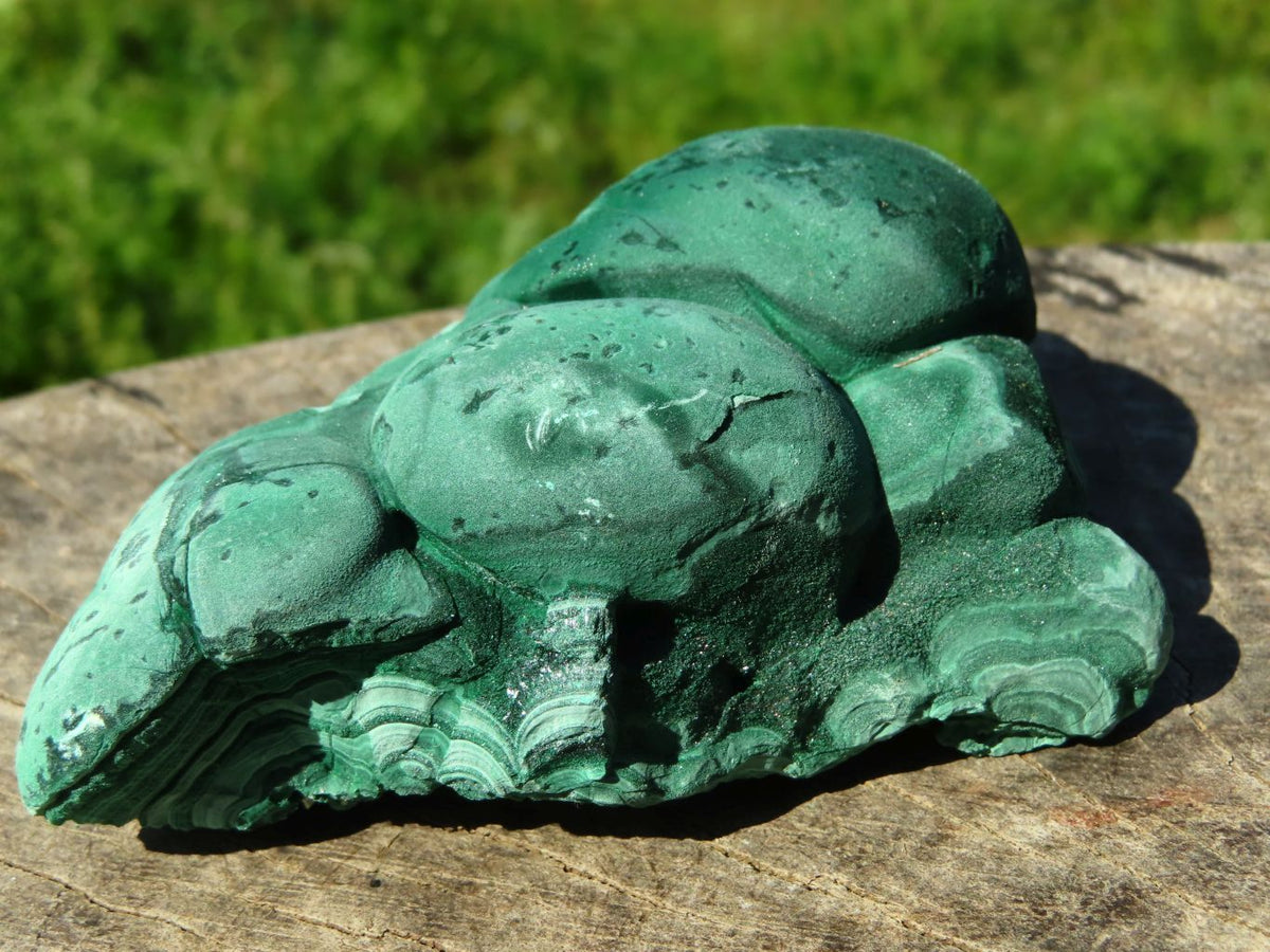 Natural Botryoidal Malachite Specimens x 3 From Congo - TopRock