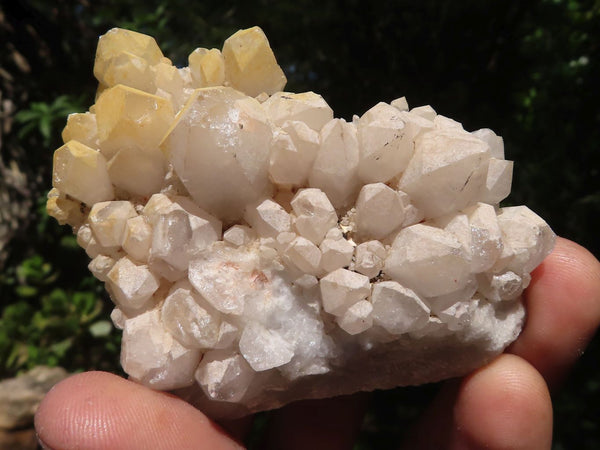 Natural Selected Candle Quartz Clusters  x 12 From Madagascar - TopRock