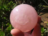 Polished Rare Star Rose Quartz Spheres  x 2 From Madagascar - Toprock Gemstones and Minerals
