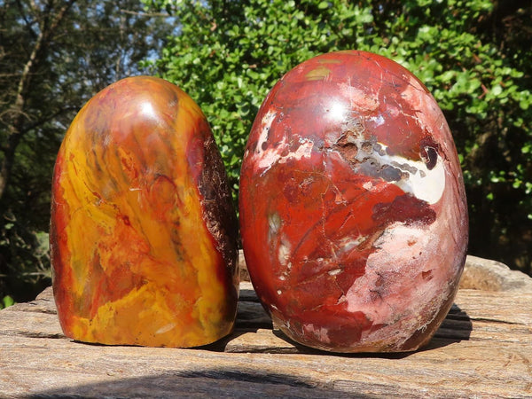 Polished Gorgeous Red Flame Jasper Standing Free Forms  x 2 From Madagascar