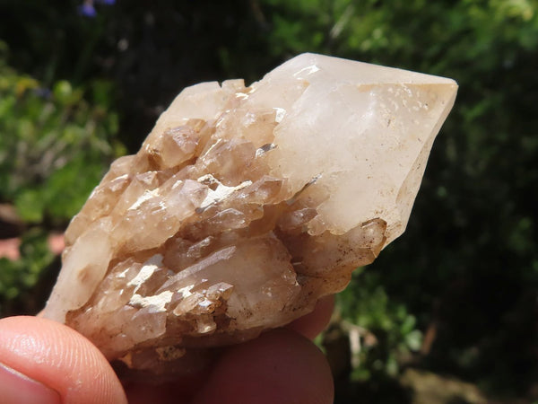 Natural Pineapple Candle Quartz Crystals x 31 From Madagascar - TopRock