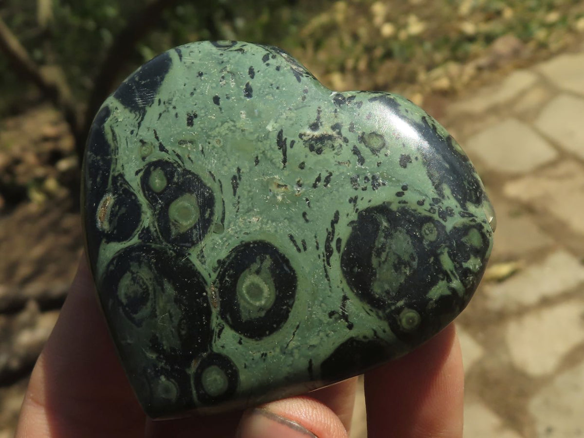 Polished Highly Selected Stromatolite / Kambamba Jasper Hearts x 8 From Katsepy, Madagascar - TopRock