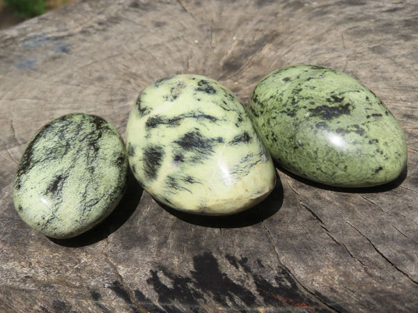 Polished Leopard Stone Gallets/Free Forms x 6 From Zimbabwe - TopRock