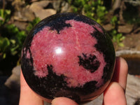 Polished  Pink & Black Rhodonite Spheres x 2 From Madagascar - Toprock Gemstones and Minerals
