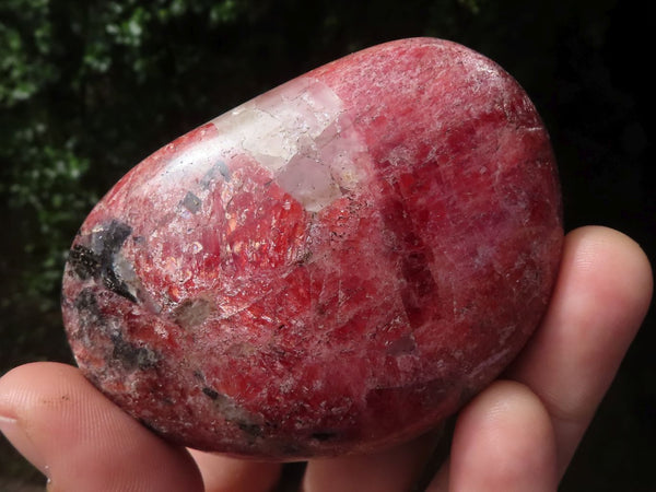 Polished Large Red Rhodonite Palm Stones  x 6 From Zimbabwe - TopRock