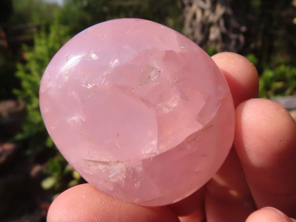 Polished Gemmy Pink Rose Quartz Palm Stones  x 12 From Ambatondrazaka, Madagascar - Toprock Gemstones and Minerals 