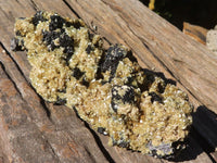 Natural Schorl Black Tourmaline Specimens With Vermiculite x 2 From Erongo, Namibia - Toprock Gemstones and Minerals