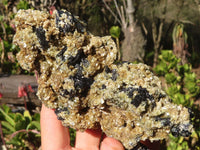 Natural Schorl Black Tourmaline Specimens With Vermiculite x 2 From Erongo, Namibia - Toprock Gemstones and Minerals