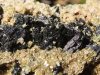 Natural Schorl Black Tourmaline Specimens With Vermiculite x 2 From Erongo, Namibia - Toprock Gemstones and Minerals