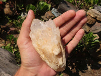 Natural Large Candle Quartz Crystals x 6 From Madagascar - Toprock Gemstones and Minerals