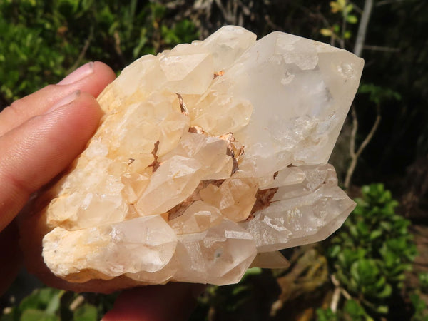 Natural Large Candle Quartz Crystals x 6 From Madagascar