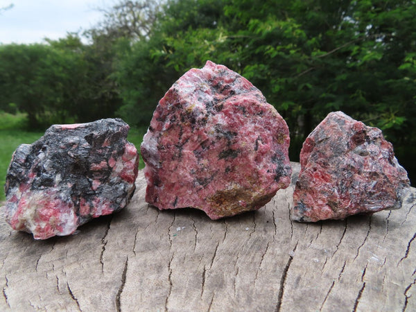 Natural Rhodonite Cobbed Rough Specimens  x 8 From Zimbabwe - TopRock