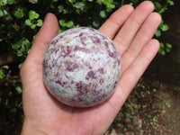 Polished Rubellite Pink Tourmaline Spheres  x 2 From Madagascar - TopRock