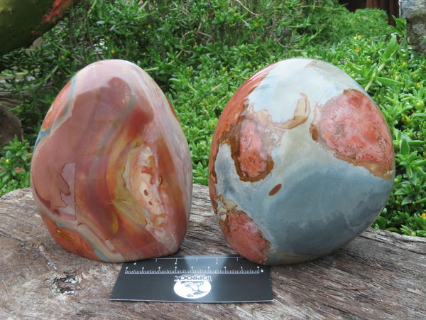 Polished Polychrome Jasper Standing Free Forms x 2 From Madagascar - TopRock