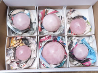 Polished Pink Rose Quartz Spheres  x 6 From Ambatondrazaka, Madagascar - TopRock