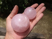 Polished Pink Rose Quartz Spheres  x 6 From Ambatondrazaka, Madagascar - TopRock