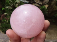 Polished Pink Rose Quartz Spheres  x 6 From Ambatondrazaka, Madagascar - TopRock