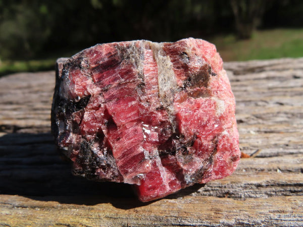 Natural Pink Cobbed Rhodonite Pieces x 12 From Rushinga, Zimbabwe - TopRock