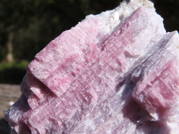 Natural Pink Rubellite Tourmaline Crystals In Schist  x 3 From Karibib, Namibia - TopRock