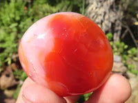 Polished Carnelian Agate Palm Stones  x 12 From Madagascar - Toprock Gemstones and Minerals