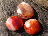 Polished Carnelian Agate Palm Stones  x 12 From Madagascar - Toprock Gemstones and Minerals