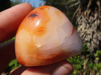 Polished Carnelian Agate Palm Stones  x 12 From Madagascar - Toprock Gemstones and Minerals