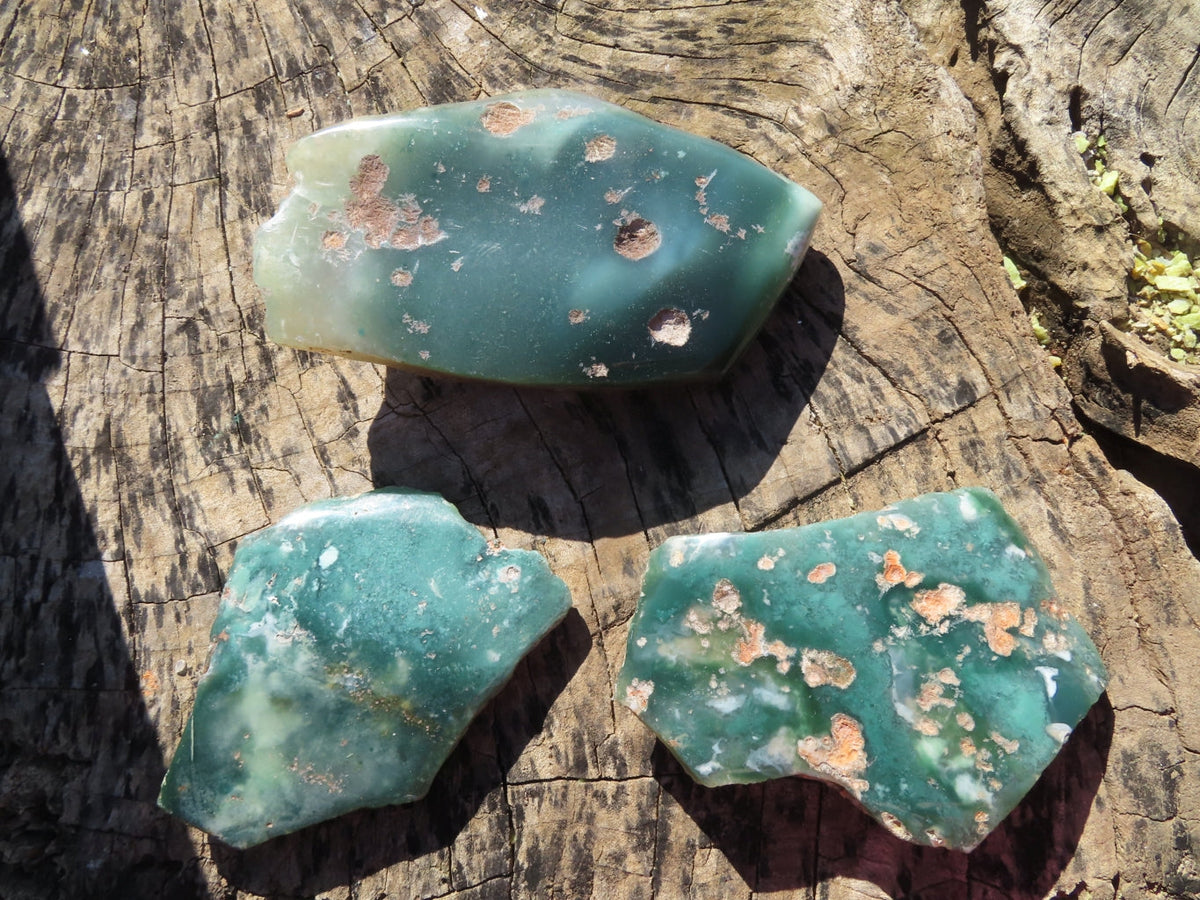 Polished Mtorolite Polished Plates x 3 From Zimbabwe - TopRock
