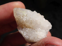 Natural Single Spirit Quartz Crystals  x 35 From Boekenhouthoek, South Africa - Toprock Gemstones and Minerals
