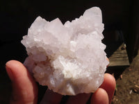 Natural White Cactus Flower Spirit Quartz Specimens  x 4 From Boekenhouthoek, South Africa - Toprock Gemstones and Minerals