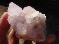 Natural White Cactus Flower Spirit Quartz Specimens  x 4 From Boekenhouthoek, South Africa - Toprock Gemstones and Minerals