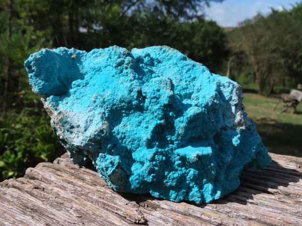Natural Bright Blue Botryoidal Chrysocolla Specimens x 2 From Lupoto, Congo - TopRock