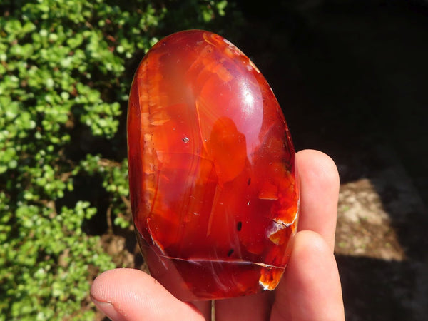 Polished Carnelian Agate Standing Free Forms  x 6 From Madagascar