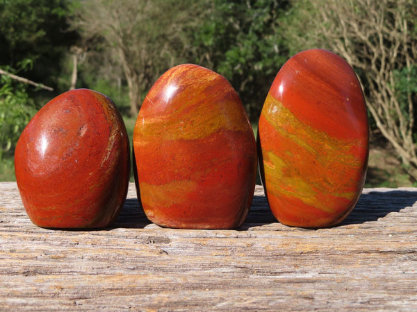Polished Red Flame / Volcano Jasper Standing Free Forms x 6 From Madagascar - TopRock