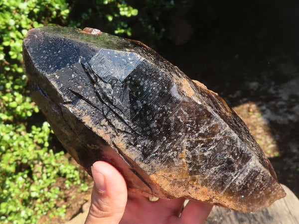 Natural Large Smokey Quartz Crystals  x 3 From Mulanje, Malawi - Toprock Gemstones and Minerals 