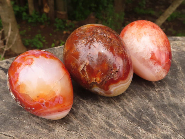 Polished Carnelian Agate Eggs  x 12 From Madagascar - TopRock