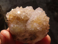Natural Mixed Spirit Quartz Crystals x 12 From Boekenhouthoek, South Africa - Toprock Gemstones and Minerals