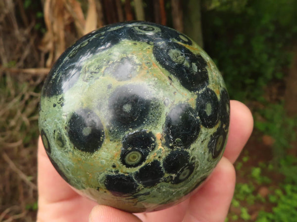 Polished Stromatolite / Kambamba Jasper Spheres  x 6 From Mahajanga, Madagascar - TopRock