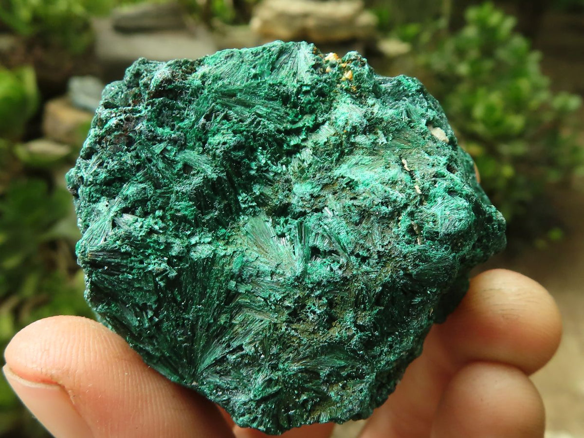 Polished Hematite & Jasper Variety Of Mugglestone Free Form Points x 2 From Northern Cape, South Africa - TopRock