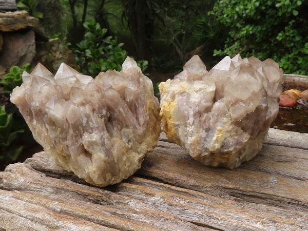 Natural White Phantom Smokey Quartz Clusters  x 2 From Luena, Congo - Toprock Gemstones and Minerals 